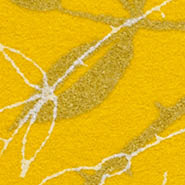 Happy 406 Kvadrat